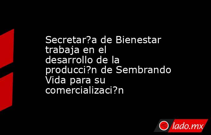 Secretar?a de Bienestar trabaja en el desarrollo de la producci?n de Sembrando Vida para su comercializaci?n. Noticias en tiempo real