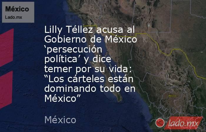 Lilly Téllez acusa al Gobierno de México ‘persecución política’ y dice temer por su vida: “Los cárteles están dominando todo en México”. Noticias en tiempo real