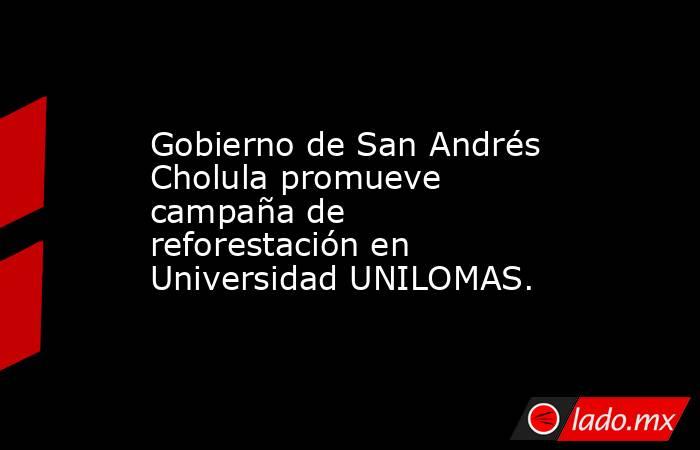 Gobierno de San Andrés Cholula promueve campaña de reforestación en Universidad UNILOMAS.. Noticias en tiempo real
