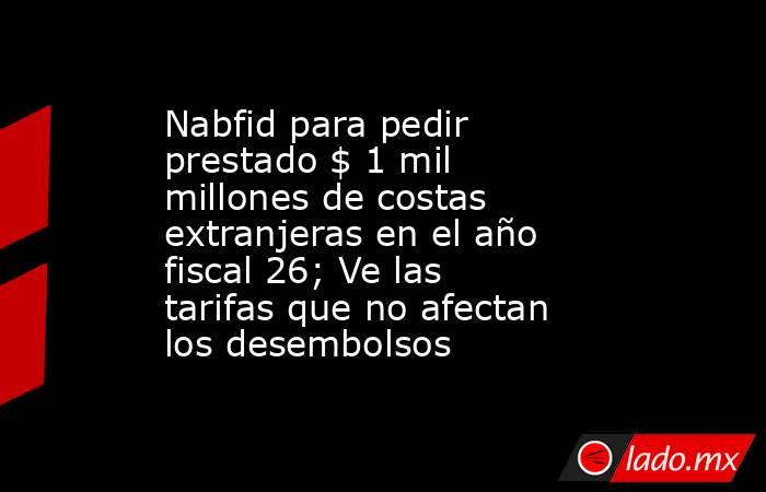 Nabfid para pedir prestado $ 1 mil millones de costas extranjeras en el año fiscal 26; Ve las tarifas que no afectan los desembolsos. Noticias en tiempo real