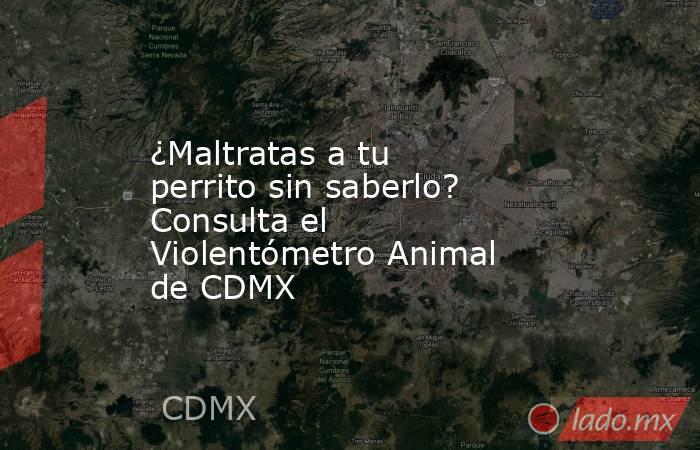 ¿Maltratas a tu perrito sin saberlo? Consulta el Violentómetro Animal de CDMX. Noticias en tiempo real