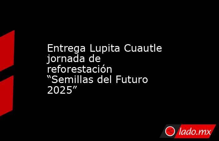 Entrega Lupita Cuautle jornada de reforestación “Semillas del Futuro 2025”. Noticias en tiempo real