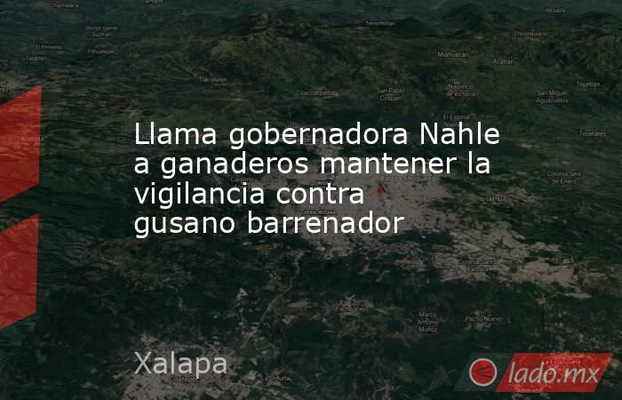 Llama gobernadora Nahle a ganaderos mantener la vigilancia contra gusano barrenador. Noticias en tiempo real