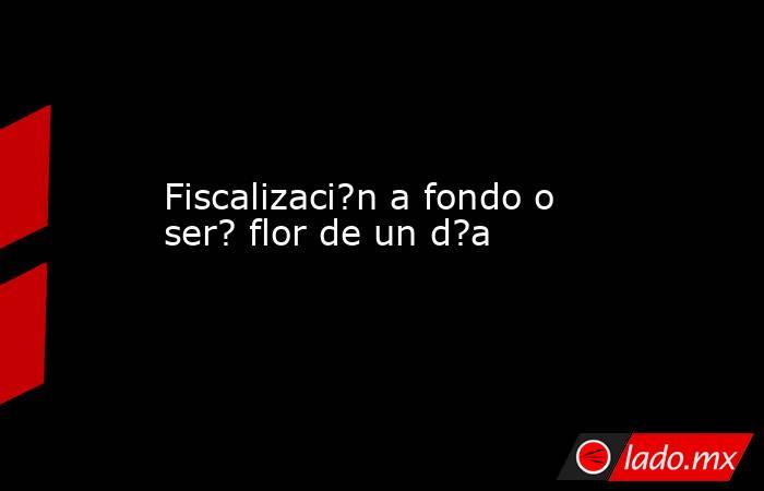 Fiscalizaci?n a fondo o ser? flor de un d?a. Noticias en tiempo real