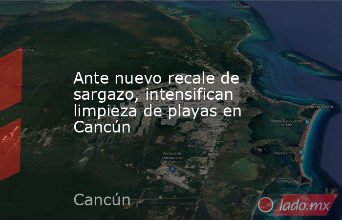 Ante nuevo recale de sargazo, intensifican limpieza de playas en Cancún. Noticias en tiempo real