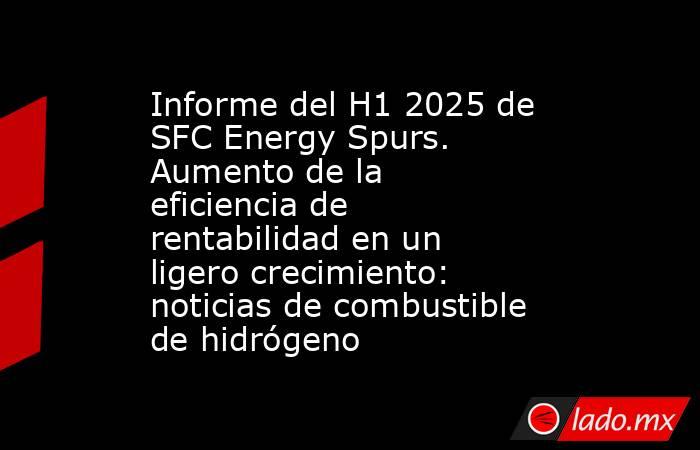 Informe del H1 2025 de SFC Energy Spurs. Aumento de la eficiencia de rentabilidad en un ligero crecimiento: noticias de combustible de hidrógeno. Noticias en tiempo real