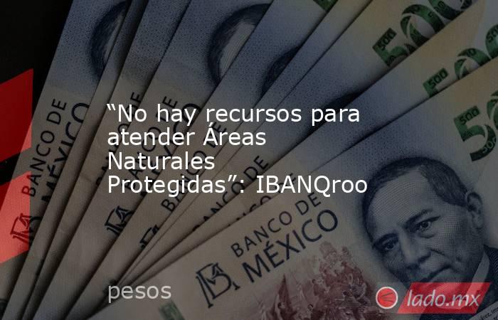 “No hay recursos para atender Áreas Naturales Protegidas”: IBANQroo. Noticias en tiempo real