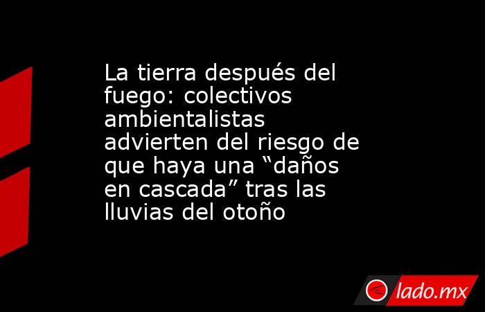 La tierra después del fuego: colectivos ambientalistas advierten del riesgo de que haya una “daños en cascada” tras las lluvias del otoño . Noticias en tiempo real