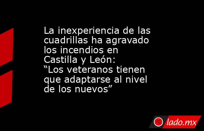 La inexperiencia de las cuadrillas ha agravado los incendios en Castilla y León: “Los veteranos tienen que adaptarse al nivel de los nuevos”. Noticias en tiempo real