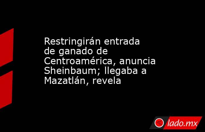 Restringirán entrada de ganado de Centroamérica, anuncia Sheinbaum; llegaba a Mazatlán, revela. Noticias en tiempo real