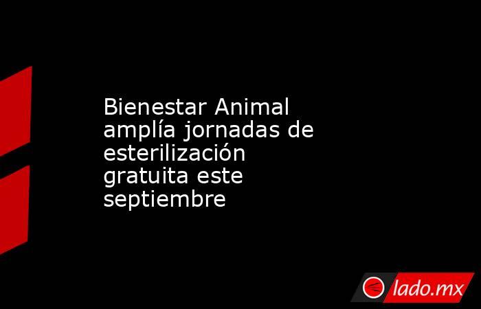 Bienestar Animal amplía jornadas de esterilización gratuita este septiembre. Noticias en tiempo real