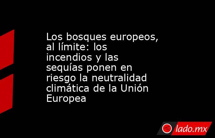Los bosques europeos, al límite: los incendios y las sequías ponen en riesgo la neutralidad climática de la Unión Europea. Noticias en tiempo real