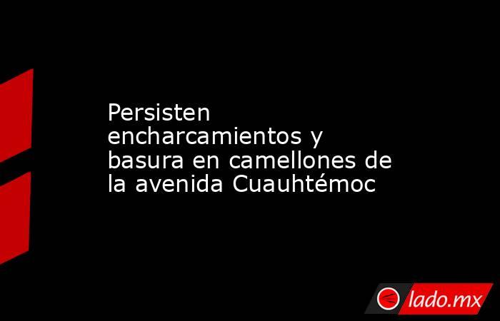 Persisten encharcamientos y basura en camellones de la avenida Cuauhtémoc. Noticias en tiempo real