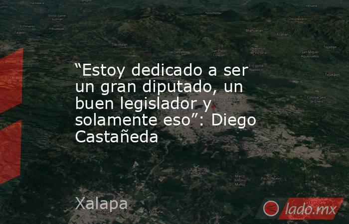 “Estoy dedicado a ser un gran diputado, un buen legislador y solamente eso”: Diego Castañeda. Noticias en tiempo real