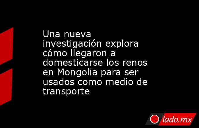 Una nueva investigación explora cómo llegaron a domesticarse los renos en Mongolia para ser usados como medio de transporte. Noticias en tiempo real