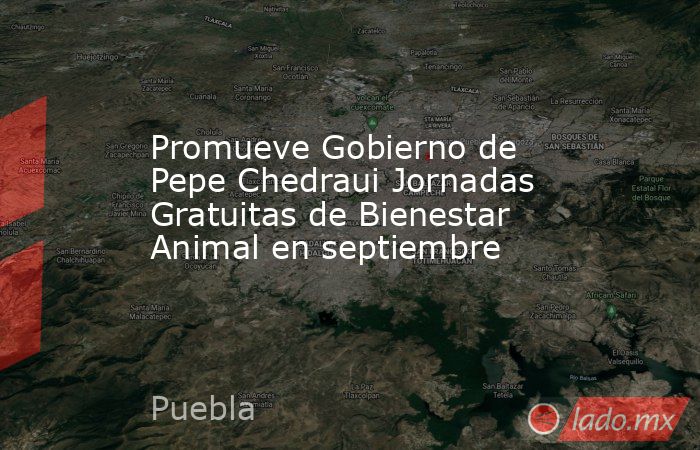 Promueve Gobierno de Pepe Chedraui Jornadas Gratuitas de Bienestar Animal en septiembre. Noticias en tiempo real