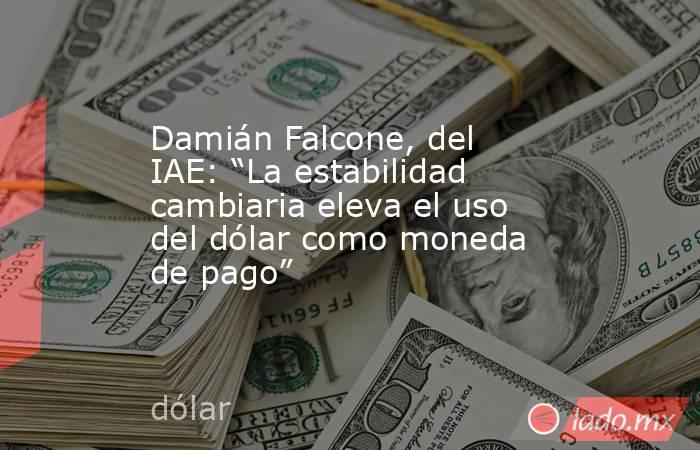 Damián Falcone, del IAE: “La estabilidad cambiaria eleva el uso del dólar como moneda de pago”. Noticias en tiempo real