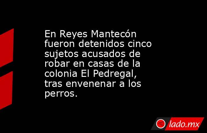 En Reyes Mantecón fueron detenidos cinco sujetos acusados de robar en casas de la colonia El Pedregal, tras envenenar a los perros.. Noticias en tiempo real