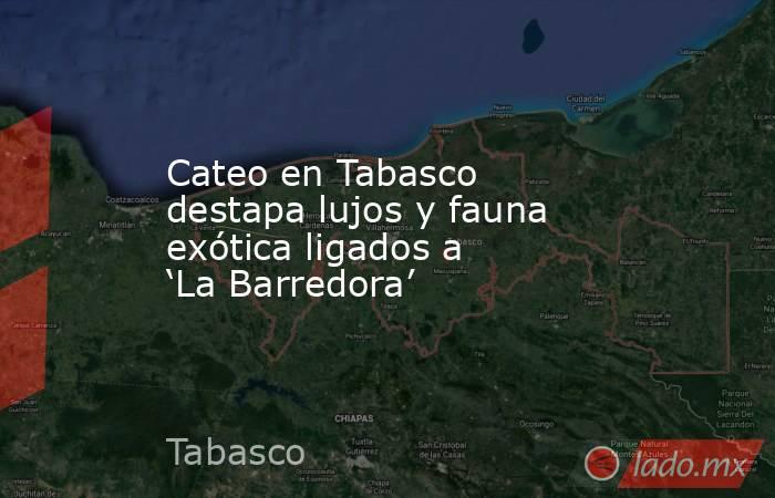 Cateo en Tabasco destapa lujos y fauna exótica ligados a ‘La Barredora’. Noticias en tiempo real