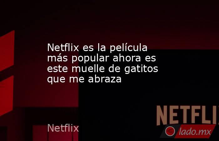 Netflix es la película más popular ahora es este muelle de gatitos que me abraza. Noticias en tiempo real