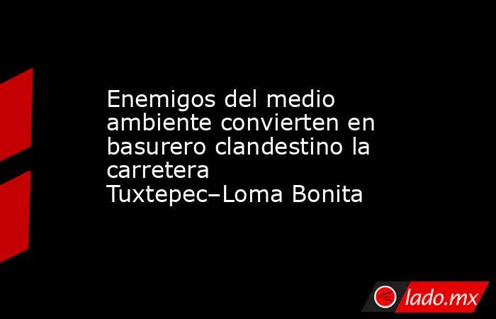 Enemigos del medio ambiente convierten en basurero clandestino la carretera Tuxtepec–Loma Bonita. Noticias en tiempo real