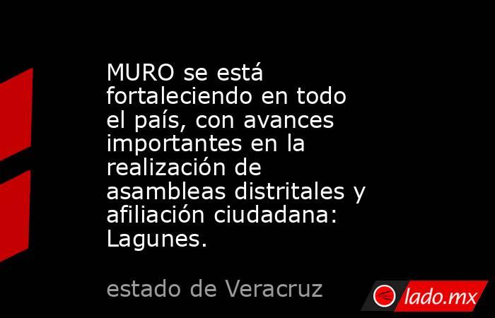 MURO se está fortaleciendo en todo el país, con avances importantes en la realización de asambleas distritales y afiliación ciudadana: Lagunes.. Noticias en tiempo real