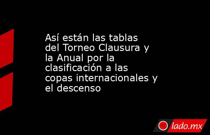 Así están las tablas del Torneo Clausura y la Anual por la clasificación a las copas internacionales y el descenso. Noticias en tiempo real