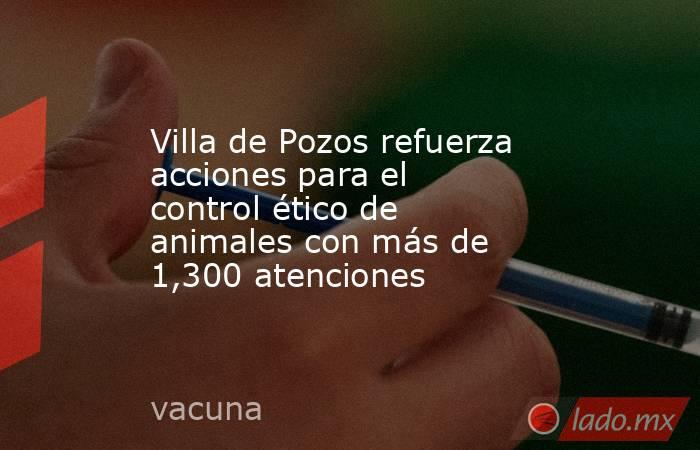 Villa de Pozos refuerza acciones para el control ético de animales con más de 1,300 atenciones. Noticias en tiempo real