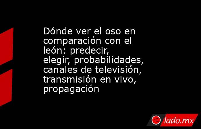 Dónde ver el oso en comparación con el león: predecir, elegir, probabilidades, canales de televisión, transmisión en vivo, propagación. Noticias en tiempo real