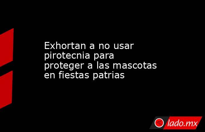 Exhortan a no usar pirotecnia para proteger a las mascotas en fiestas patrias. Noticias en tiempo real