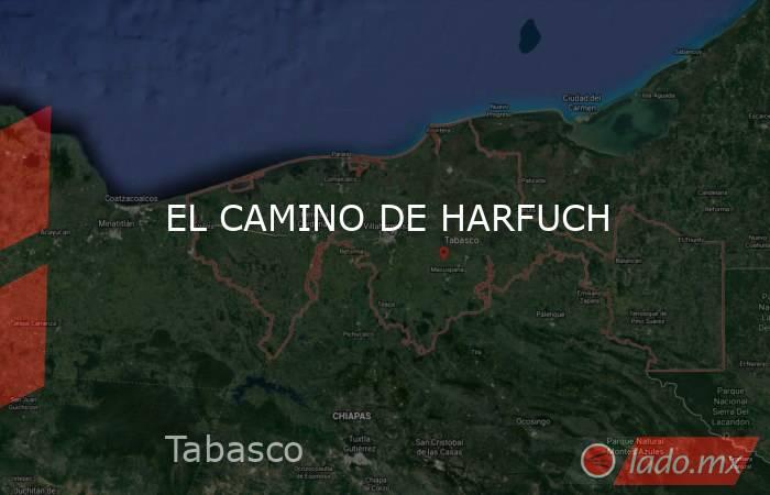 EL CAMINO DE HARFUCH. Noticias en tiempo real