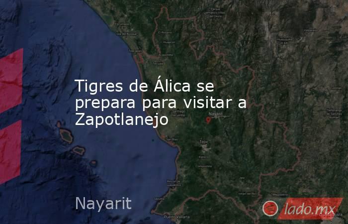 Tigres de Álica se prepara para visitar a Zapotlanejo. Noticias en tiempo real