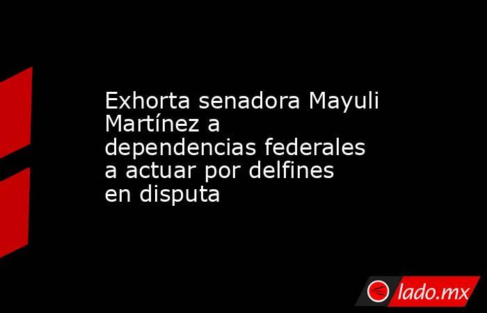 Exhorta senadora Mayuli Martínez a dependencias federales a actuar por delfines en disputa. Noticias en tiempo real