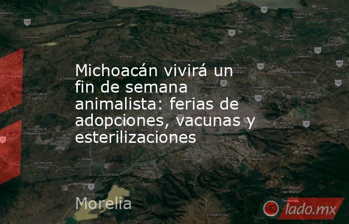 Michoacán vivirá un fin de semana animalista: ferias de adopciones, vacunas y esterilizaciones. Noticias en tiempo real