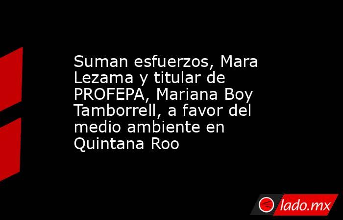 Suman esfuerzos, Mara Lezama y titular de PROFEPA, Mariana Boy Tamborrell, a favor del medio ambiente en Quintana Roo. Noticias en tiempo real