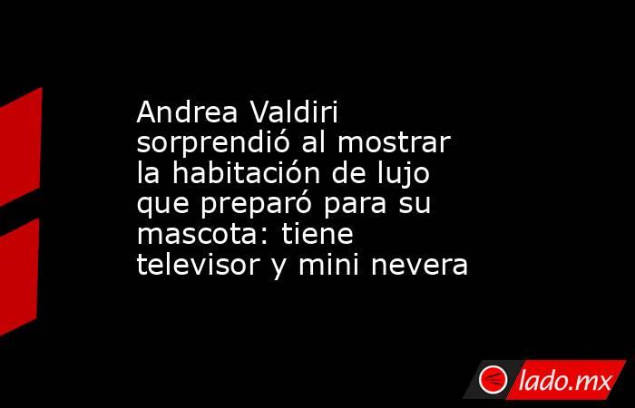 Andrea Valdiri sorprendió al mostrar la habitación de lujo que preparó para su mascota: tiene televisor y mini nevera. Noticias en tiempo real
