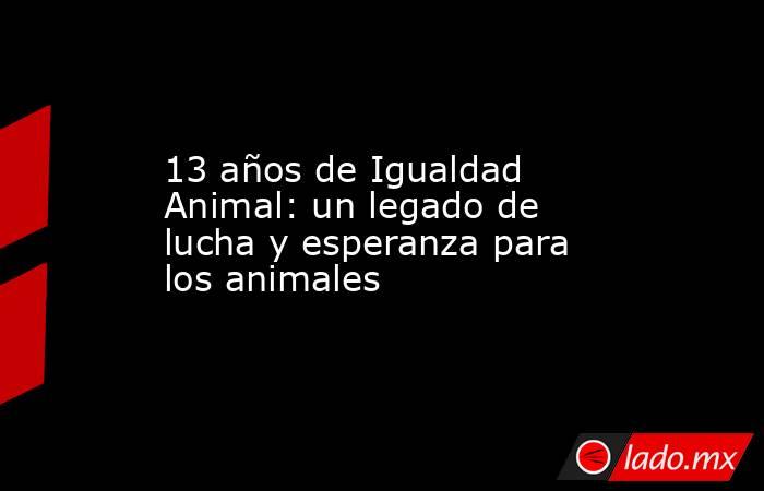 13 años de Igualdad Animal: un legado de lucha y esperanza para los animales. Noticias en tiempo real