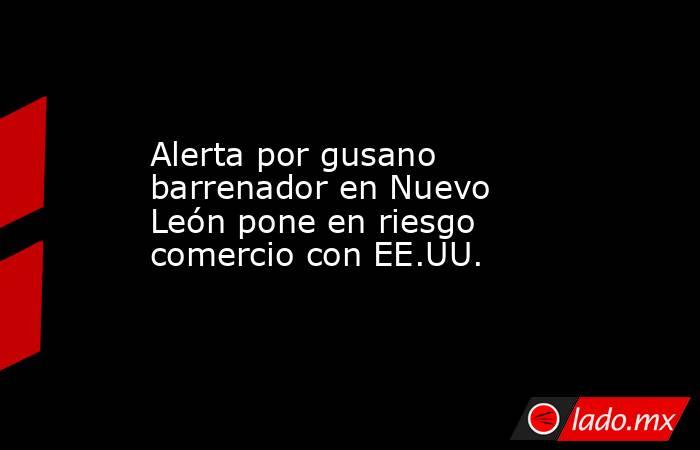 Alerta por gusano barrenador en Nuevo León pone en riesgo comercio con EE.UU.. Noticias en tiempo real