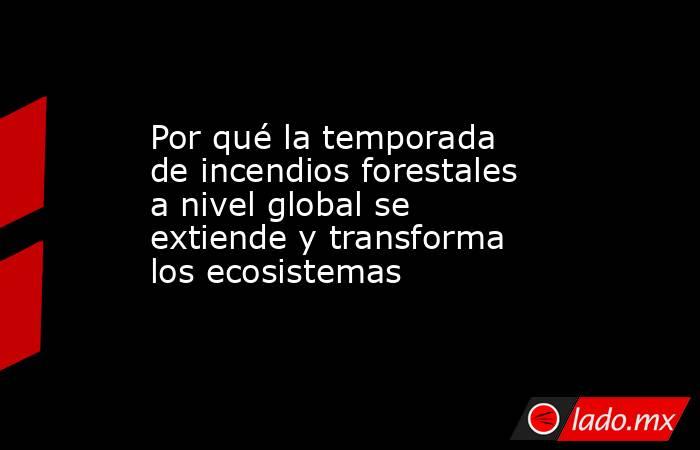 Por qué la temporada de incendios forestales a nivel global se extiende y transforma los ecosistemas. Noticias en tiempo real
