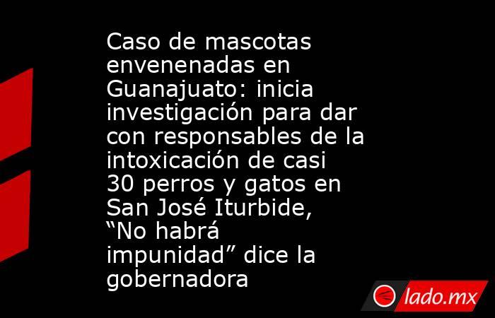 Caso de mascotas envenenadas en Guanajuato: inicia investigación para dar con responsables de la intoxicación de casi 30 perros y gatos en San José Iturbide, “No habrá impunidad” dice la gobernadora. Noticias en tiempo real