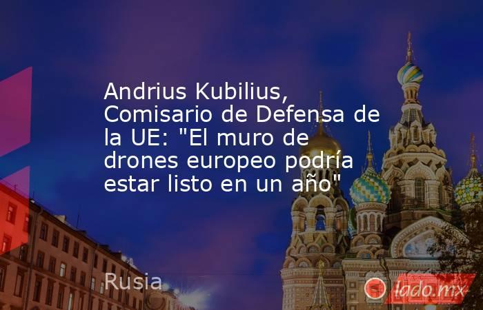 Andrius Kubilius, Comisario de Defensa de la UE: 