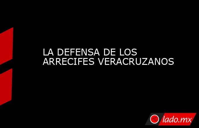 LA DEFENSA DE LOS ARRECIFES VERACRUZANOS. Noticias en tiempo real