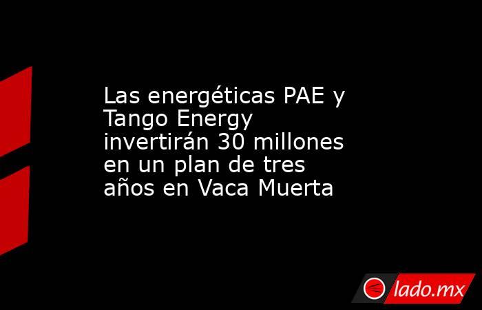 Las energéticas PAE y Tango Energy invertirán 30 millones en un plan de tres años en Vaca Muerta. Noticias en tiempo real