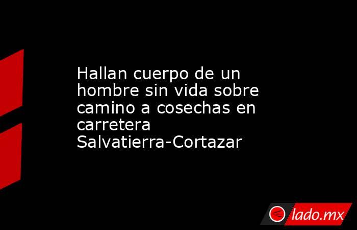 Hallan cuerpo de un hombre sin vida sobre camino a cosechas en carretera Salvatierra-Cortazar. Noticias en tiempo real