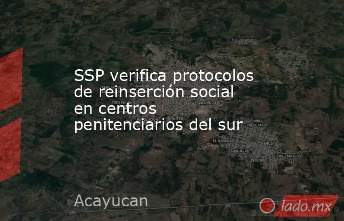 SSP verifica protocolos de reinserción social en centros penitenciarios del sur. Noticias en tiempo real