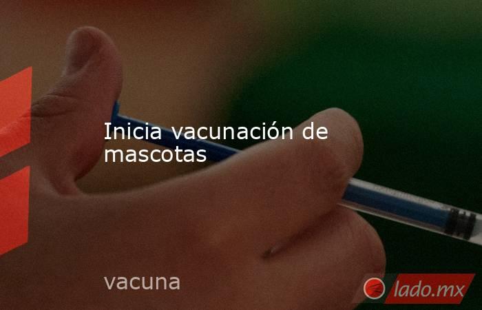 Inicia vacunación de mascotas. Noticias en tiempo real
