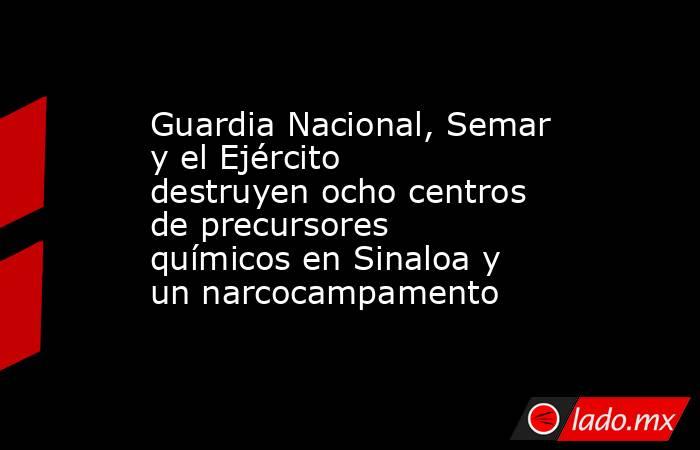 Guardia Nacional, Semar y el Ejército destruyen ocho centros de precursores químicos en Sinaloa y un narcocampamento. Noticias en tiempo real