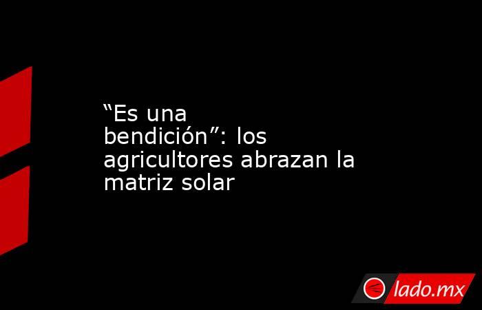 “Es una bendición”: los agricultores abrazan la matriz solar. Noticias en tiempo real