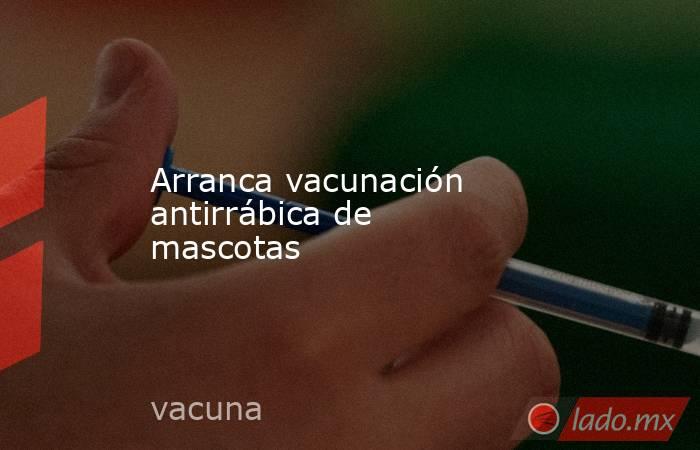Arranca vacunación antirrábica de mascotas. Noticias en tiempo real