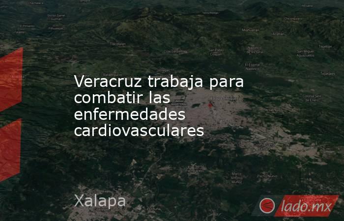Veracruz trabaja para combatir las enfermedades cardiovasculares. Noticias en tiempo real